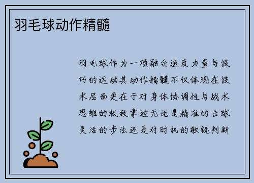 羽毛球动作精髓